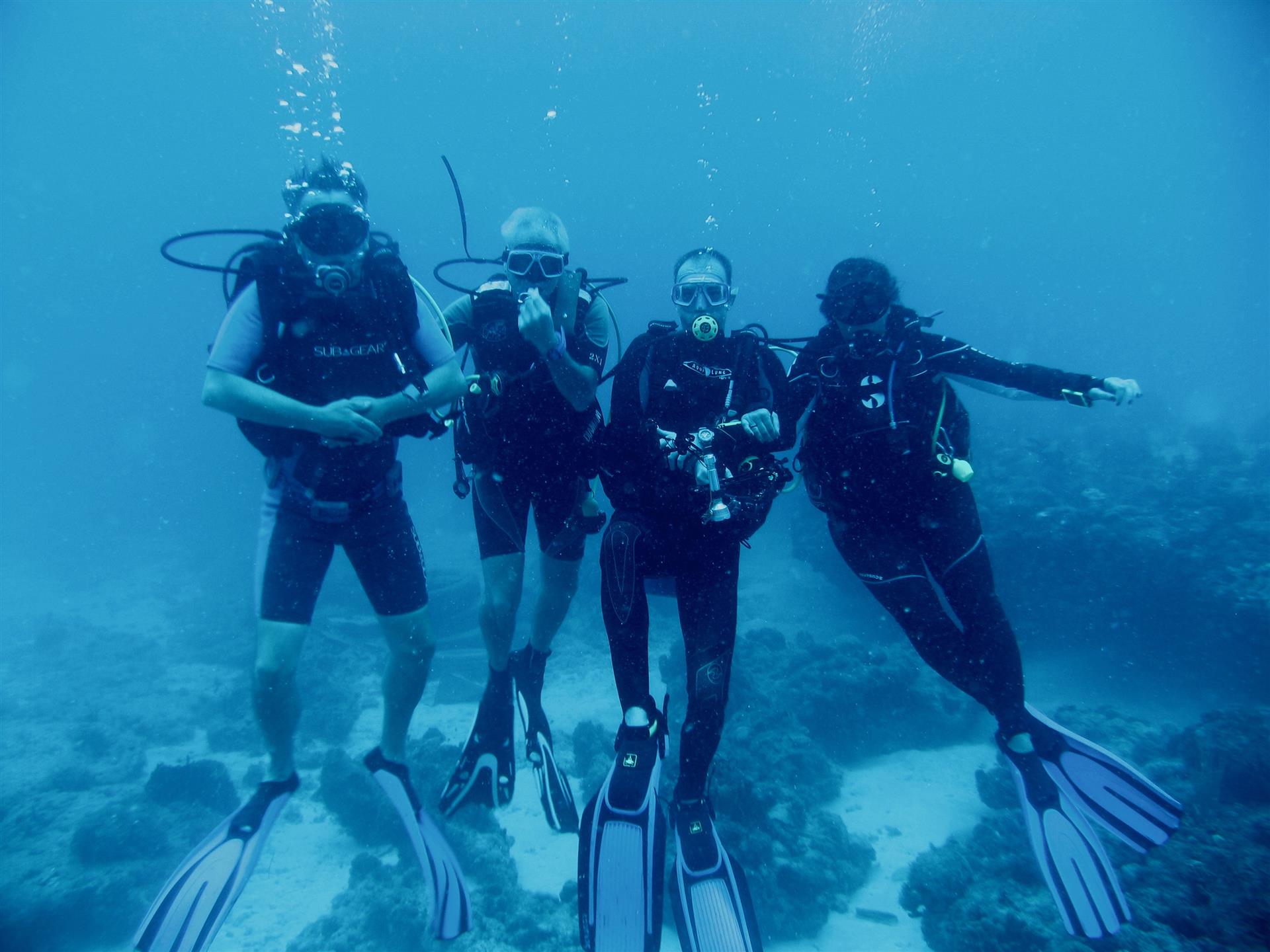 Blue Odyssey Diving - Plongeurs